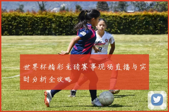 世界杯精彩竞猜赛事现场直播与实时分析全攻略