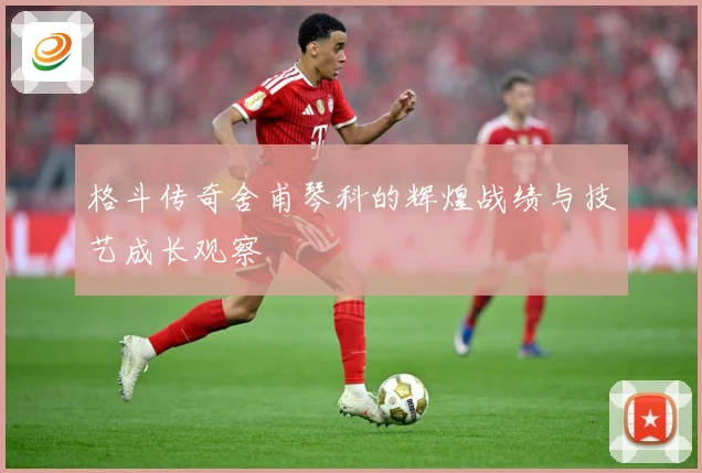 格斗传奇舍甫琴科的辉煌战绩与技艺成长观察