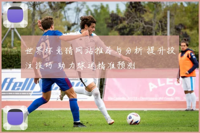 世界杯竞猜网站推荐与分析 提升投注技巧 助力球迷精准预测