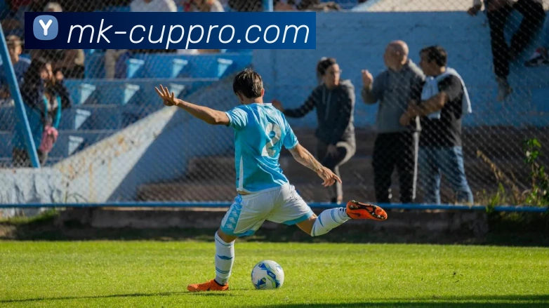 MK体育平台展示图